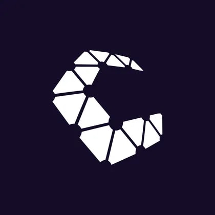 Vision Synergy Holdings