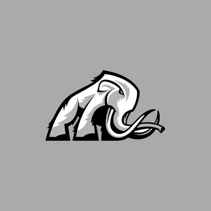 Mammoth Energy Services