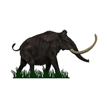 Black Mammoth Metals