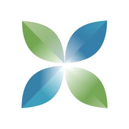 China Renewable Energy Investment