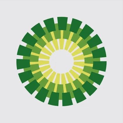Dynagreen Environmental Protection Group Co