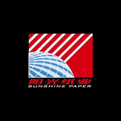 China Sunshine Paper Holdings Co