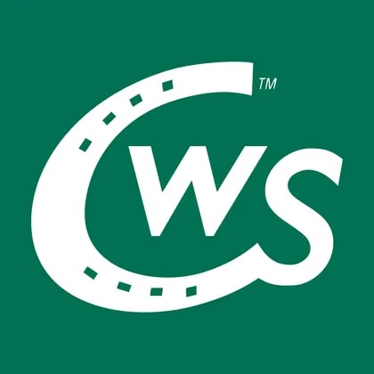 Calfrac Well Services