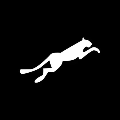 Panther Securities