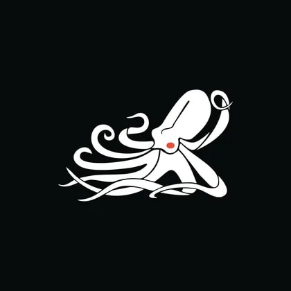 Kraken Robotics