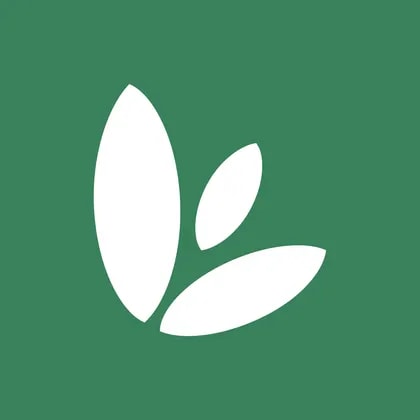 MagnaChip Semiconductor