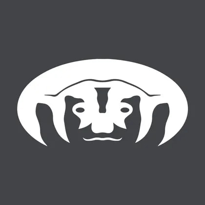 Badger Infrastructure Solutions