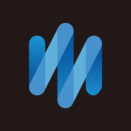 Intron Technology Holdings