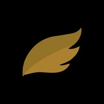 Bluebird Mining Ventures Ltd Shs USD