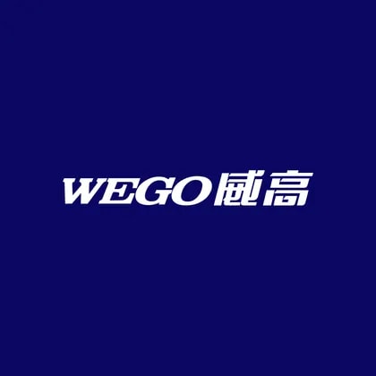 Shandong Weigao Group Medical Polymer Co