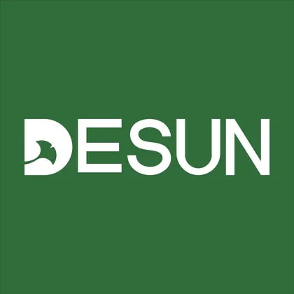 Desun Real Estate Investment Services Group Co