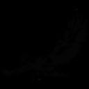 Lealea Enterprise Co