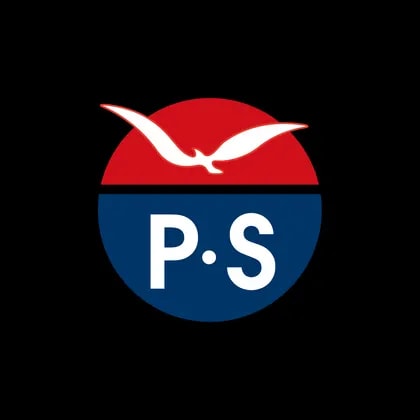 Pa Shun International Holdings