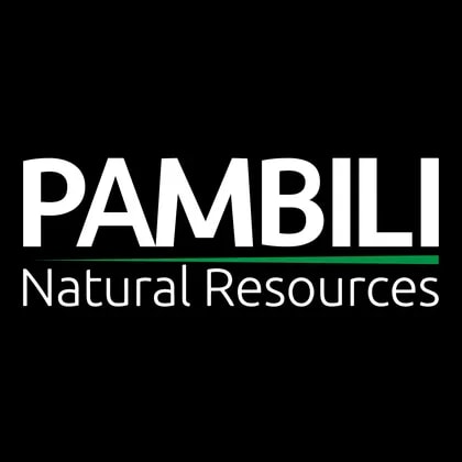 Pambili Natural Resources