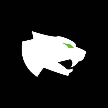 Arctic Cat