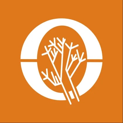 Orion Minerals
