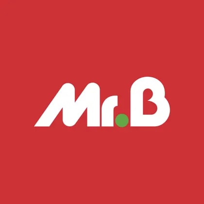 Mr Bricolage