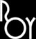 ROY Asset Holding