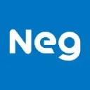 Nippon Electric Glass Co