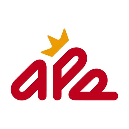 Asia Pioneer Entertainment Holdings
