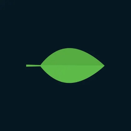 Light Science Technologies Holdings