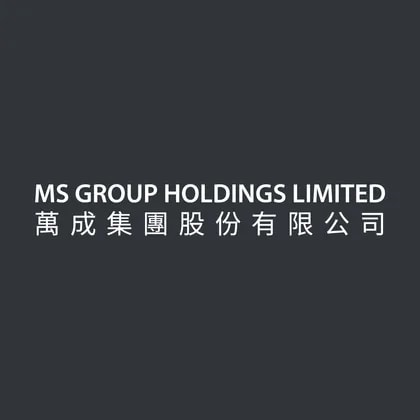 MS Group Holdings