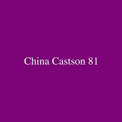 China Castson 81 Finance Co