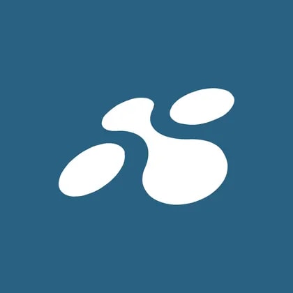 LINK Mobility Group Holding