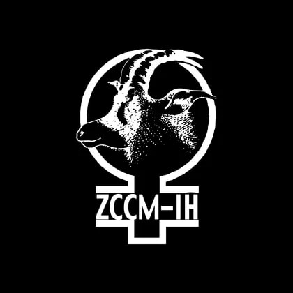 ZCCM Investments Holdings