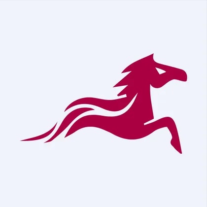 Steed Oriental Holdings Co