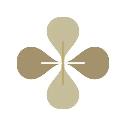 Medicskin Holdings