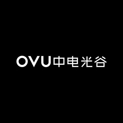 China Electronics Optics Valley Union Holding Co