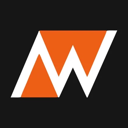 Willas-Array Electronics Holdings