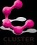 Cluster Technology Co
