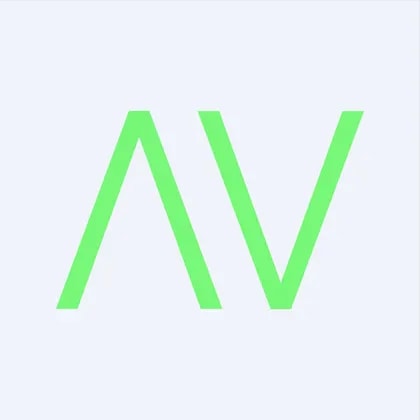 Asset Vision Co