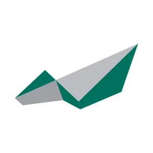 Newton Resources