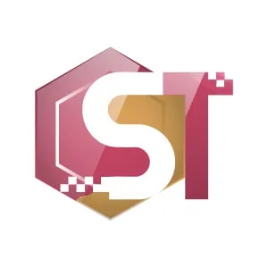 Shunten International Holdings
