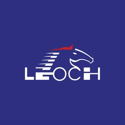 Leoch International Technology