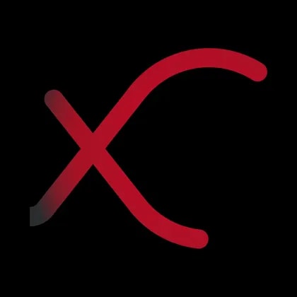Silver X Mining