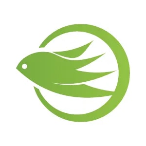 Forgame Holdings