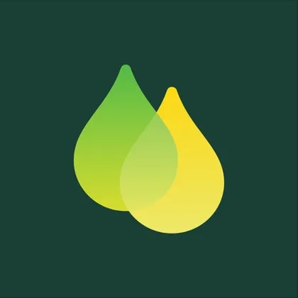 Beyond Oil