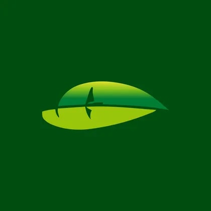China Ludao Technology Co