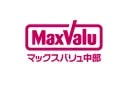 Maxvalu Tokai Co