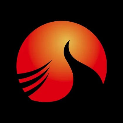 Tonking New Energy Group Holdings